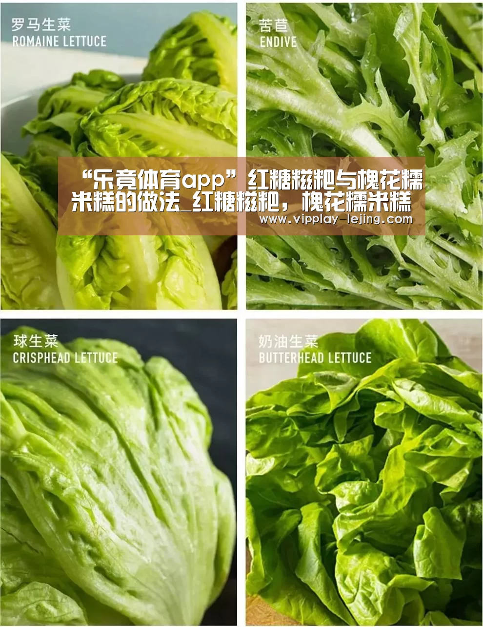 “乐竟体育app”红糖糍粑与槐花糯米糕的做法_红糖糍粑,槐花糯米糕_Anna_vam的菜谱(图1) 乐竟